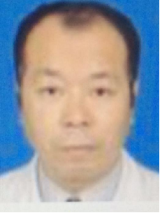 朱伟力